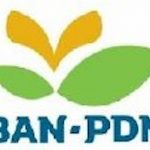 Logo BAN PDM (Badan Akreditasi Nasional Pendidikan Anak Usia Dini, Pendidikan Dasar, dan Pendidikan Menengah) tahun 2023